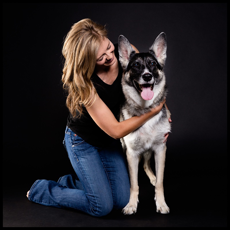 Boston Terrier,German Shepard,Las Vegas Pet,Las Vegas Pet Photography,Las Vegas Pets,Las Vegas Portraits,Lucinda Flint Photography,Pet Photography,Professional Pet Photography,